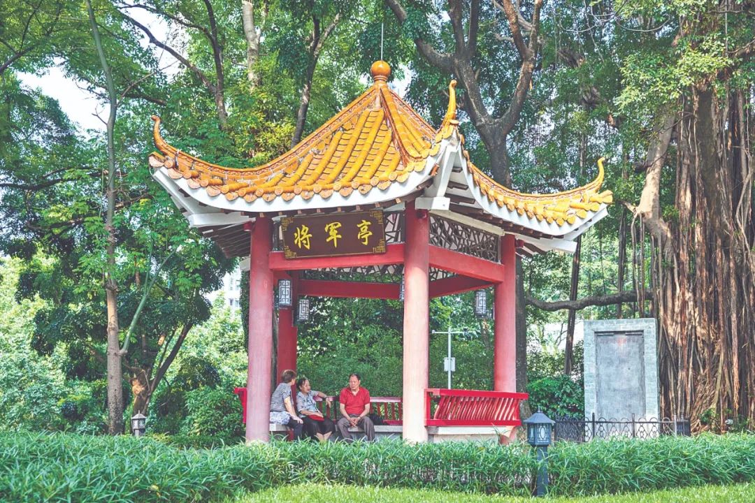 苏俊杰-JASO785220240514-FZ102811976353 图片