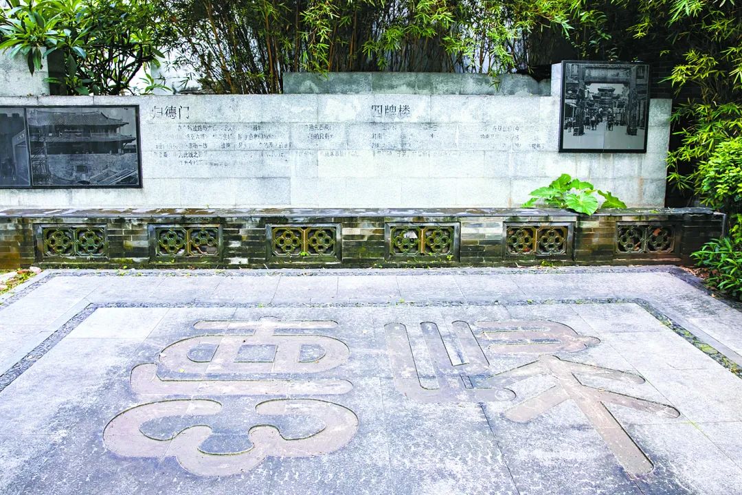 苏俊杰-JASO781920240514-FZ102811976351 图片